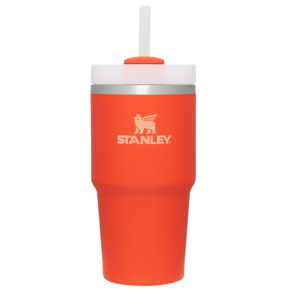Double-Wall Vacuum The Quencher H2.0 Flowstate Tumbler D030T - Double-Wall Vacuum Insulated Travel Tumbler with Straw - Tigerlily
